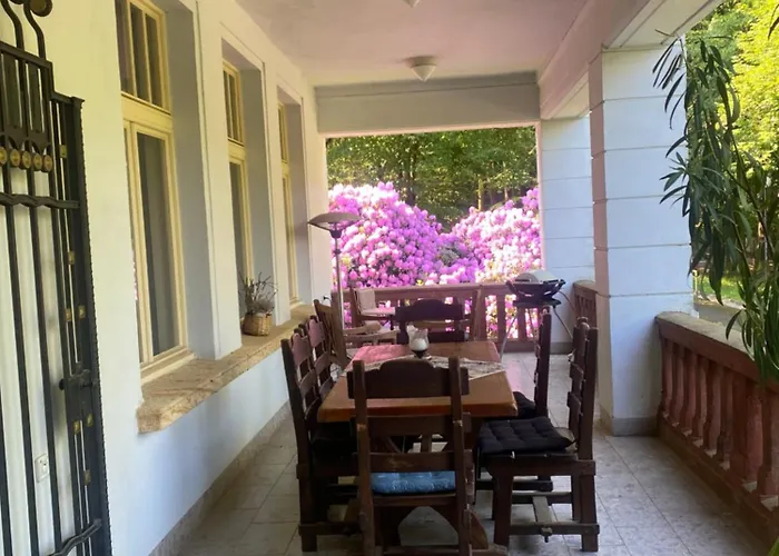 Vila Olga